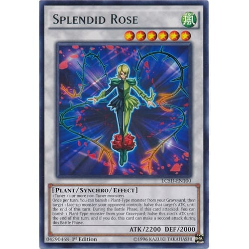 LC5D-EN100 Splendid Rose