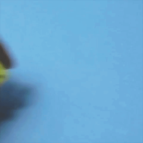 The Chameleon