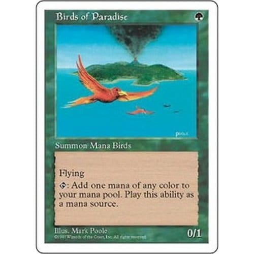 Birds of Paradise | 5th Edition