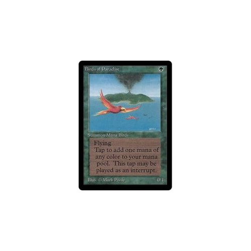 Birds of Paradise
