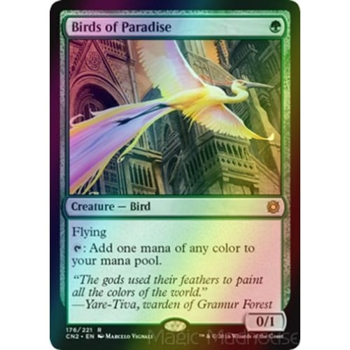 Birds of Paradise (foil)