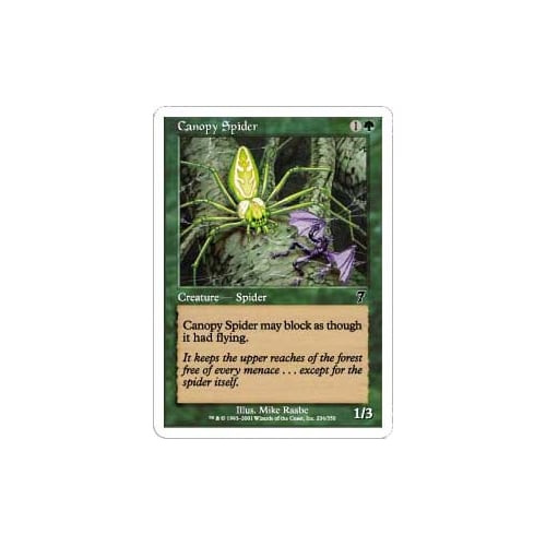 Canopy Spider