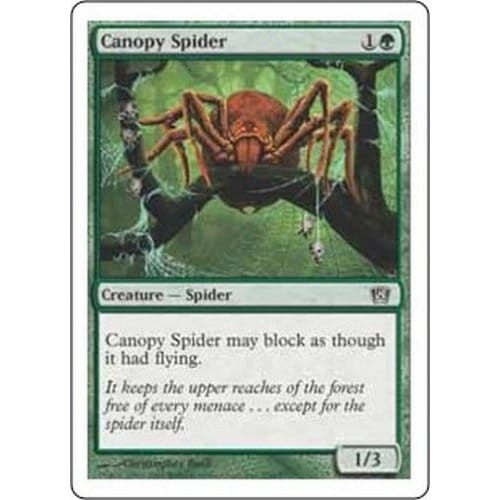 Canopy Spider
