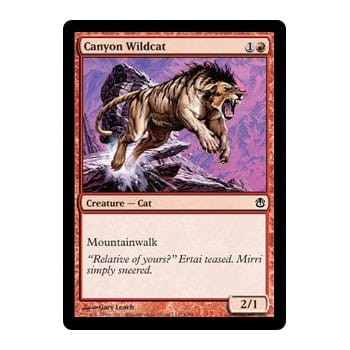 Canyon Wildcat