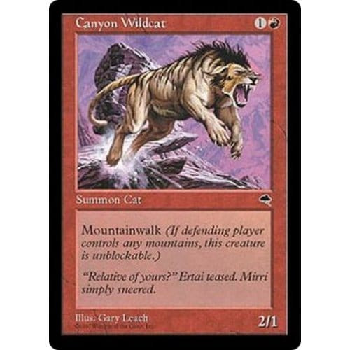 Canyon Wildcat