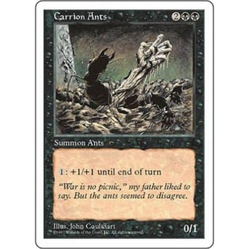 Carrion Ants