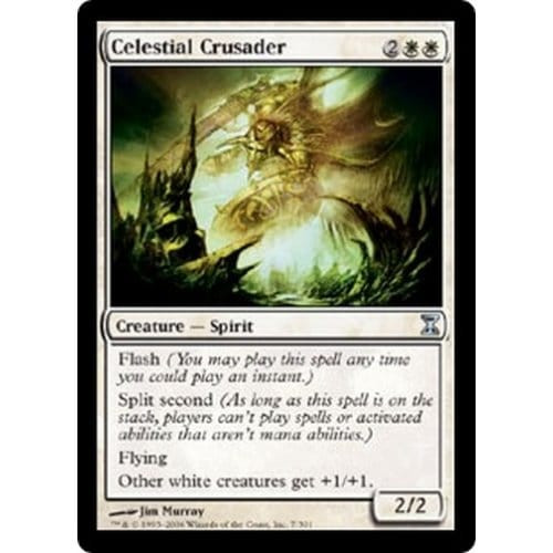 Celestial Crusader