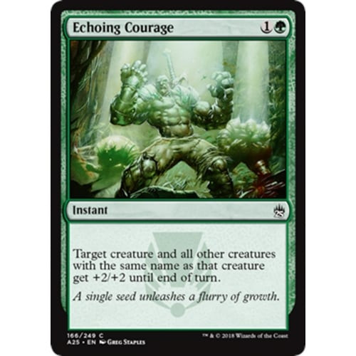Echoing Courage | Masters 25