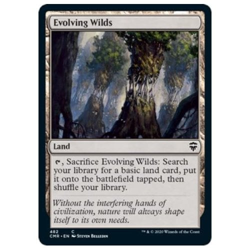 Evolving Wilds