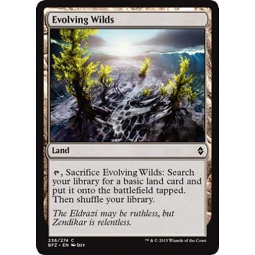 Evolving Wilds (foil)