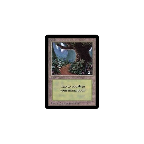 Forest (#1)