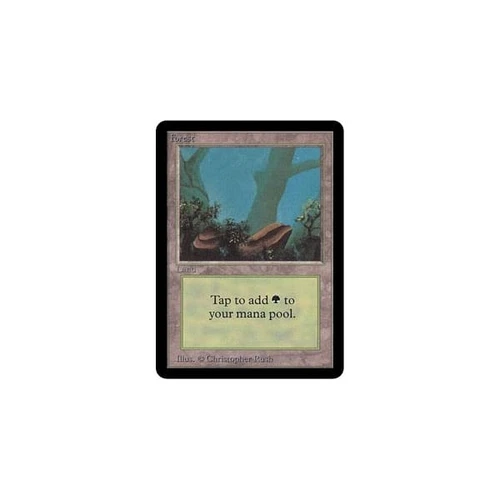 Forest (#2)