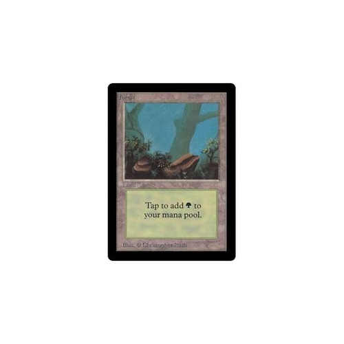 Forest (#2)