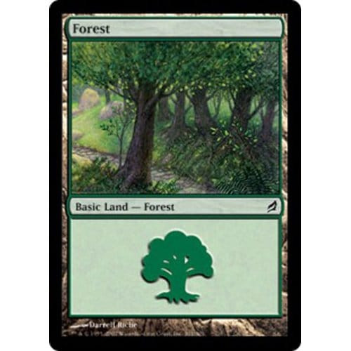 Forest (#301)