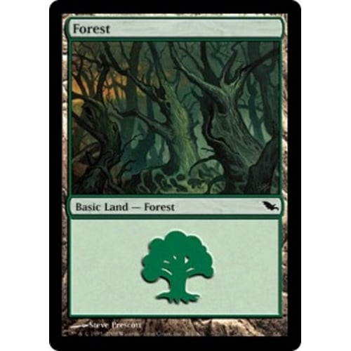 Forest (#301)