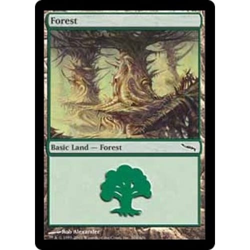 Forest (#304)