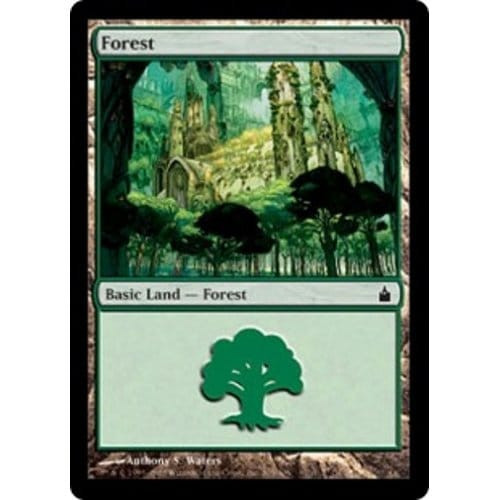 Forest (#305)