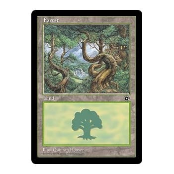 Forest (#3)