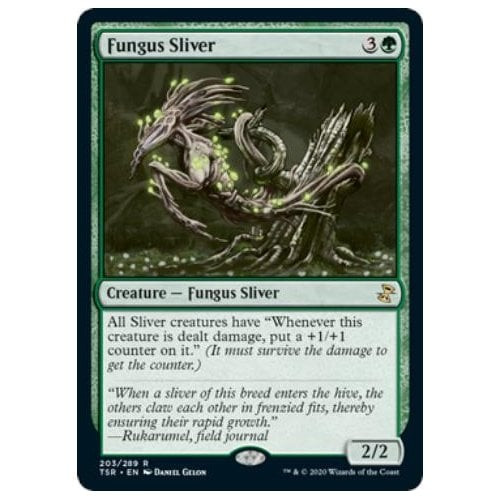 Fungus Sliver