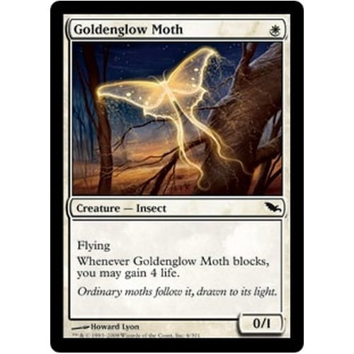 Goldenglow Moth