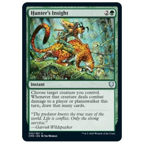 Hunter's Insight