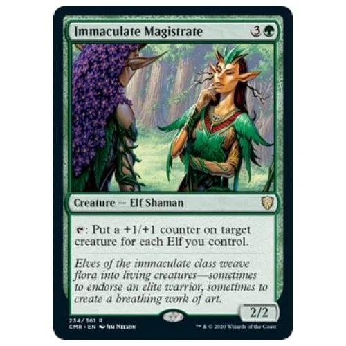 Immaculate Magistrate