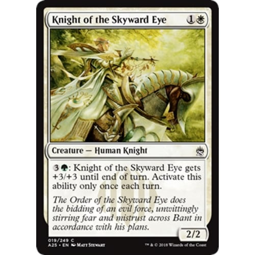 Knight of the Skyward Eye