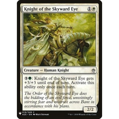 Knight of the Skyward Eye