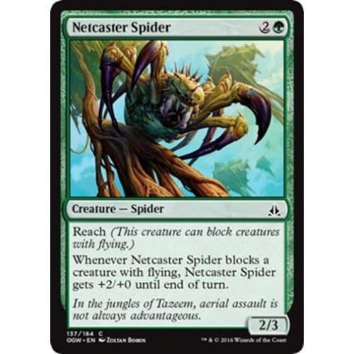 Netcaster Spider (foil)