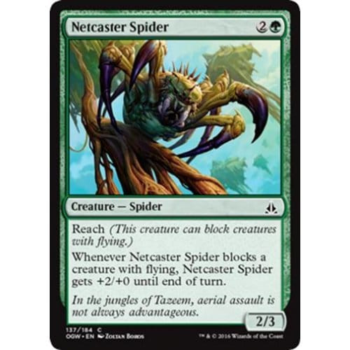 Netcaster Spider