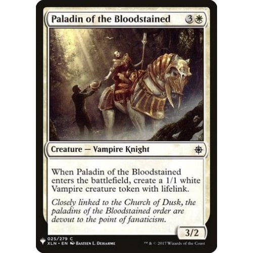 Paladin of the Bloodstained
