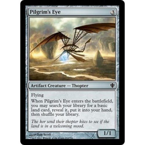 Pilgrim's Eye