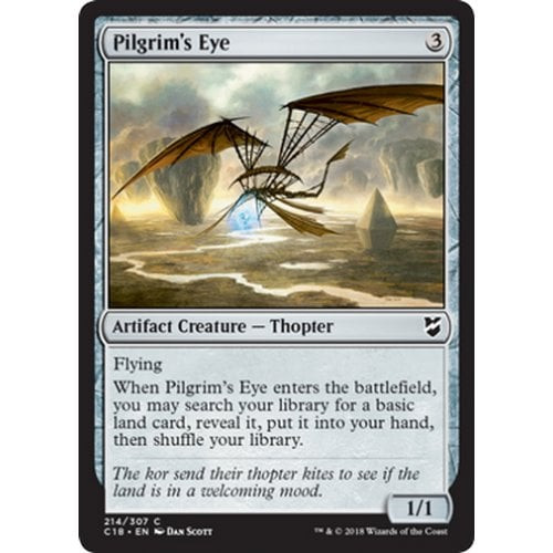 Pilgrim's Eye