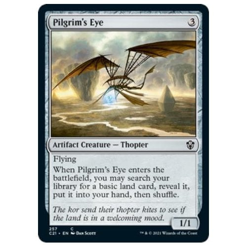 Pilgrim's Eye