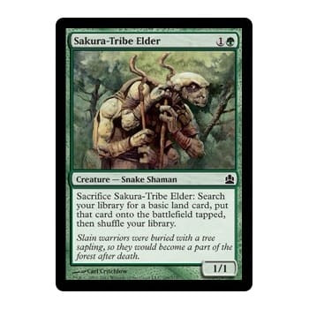 Sakura-Tribe Elder