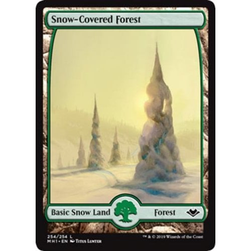 Snow-Covered Forest