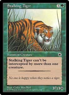 Stalking Tiger