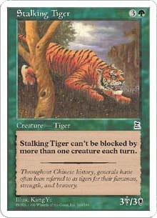 Stalking Tiger