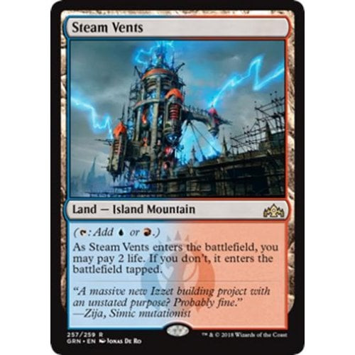 Steam Vents (foil)