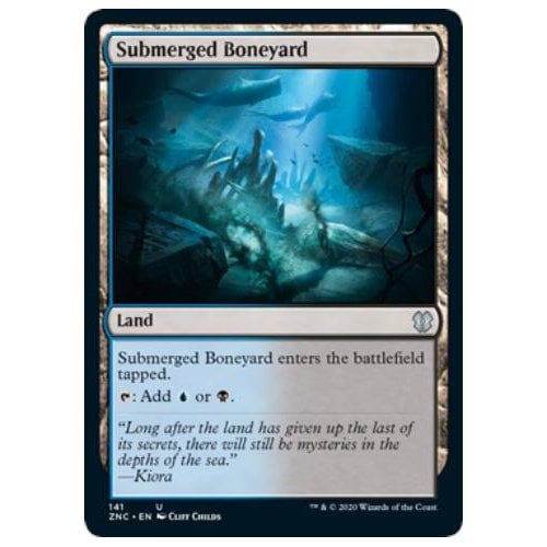 Submerged Boneyard