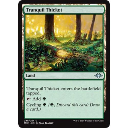 Tranquil Thicket | Modern Horizons