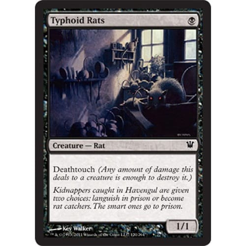 Typhoid Rats