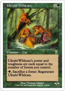 Uktabi Wildcats