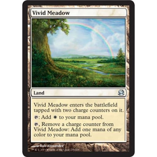 Vivid Meadow