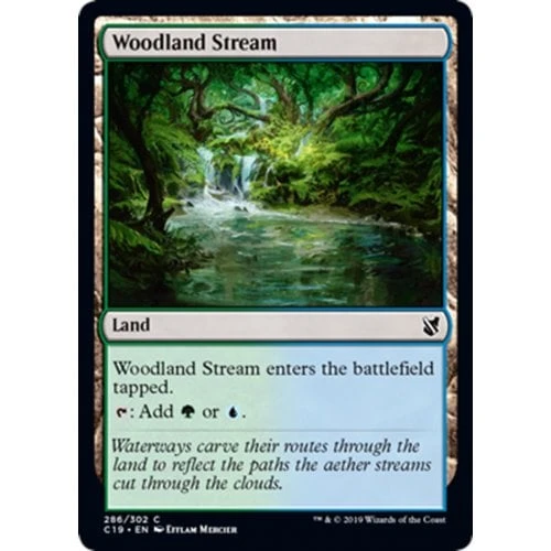 Woodland Stream