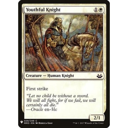 Youthful Knight
