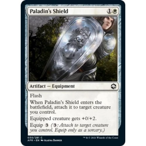 Paladin's Shield