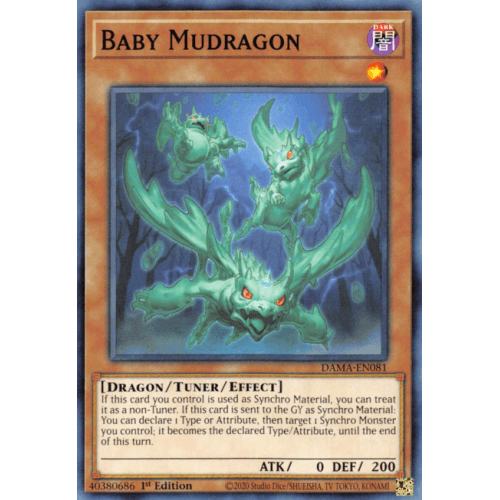 DAMA-EN081 Baby Mudragon