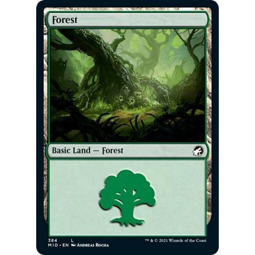 Forest (#384)