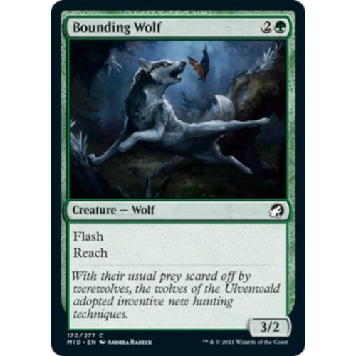 Bounding Wolf (foil) | Innistrad: Midnight Hunt